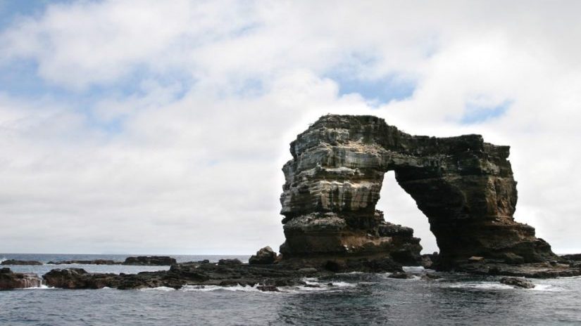 darwin's arch galapagos islands, one of the best dive sites in the world
