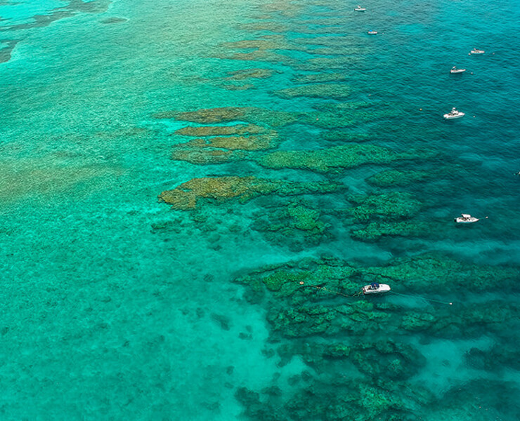 Looe Key reef
