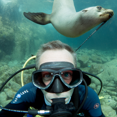 Snorkeling Vs Scuba Diving 9 Differences You Need To Know About Dive Site Blog Your Source 