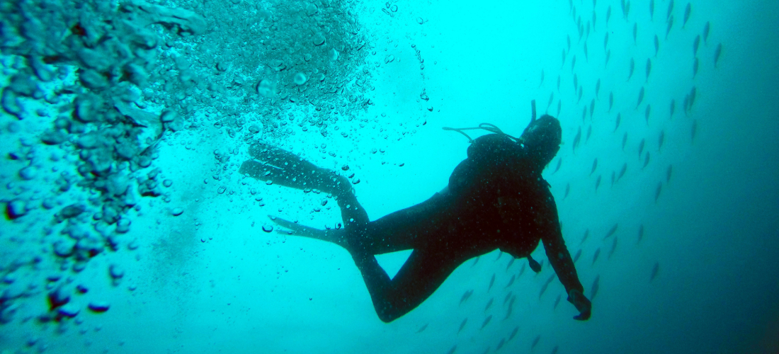 scuba diver seen from below