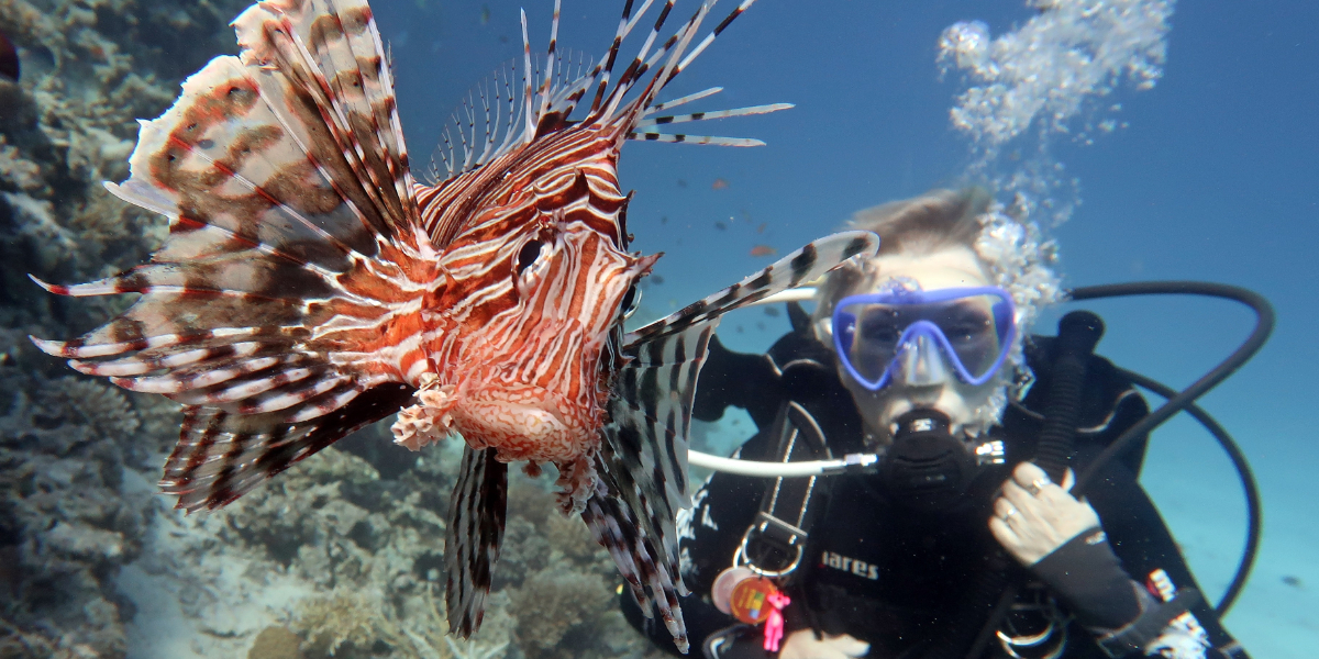 lionfish and diver