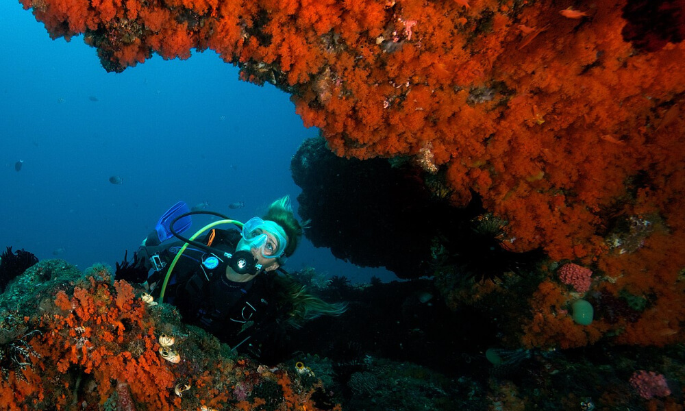 raja ampat indonesia, one of the best winter scuba diving destinations