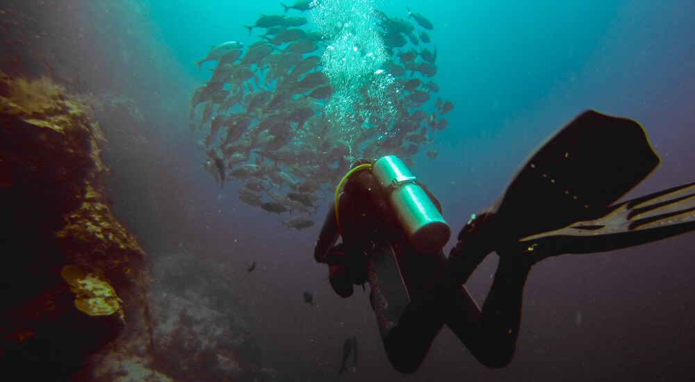 philippines, world's leading dive destination 2019