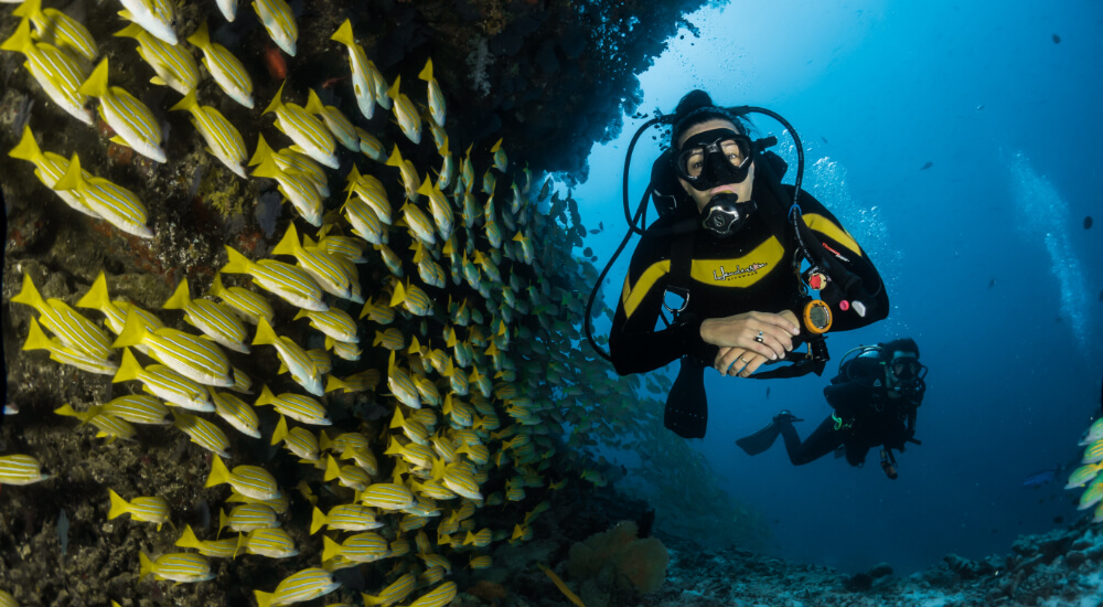 How to Frog Kick: Finning Techniques for Scuba Diving