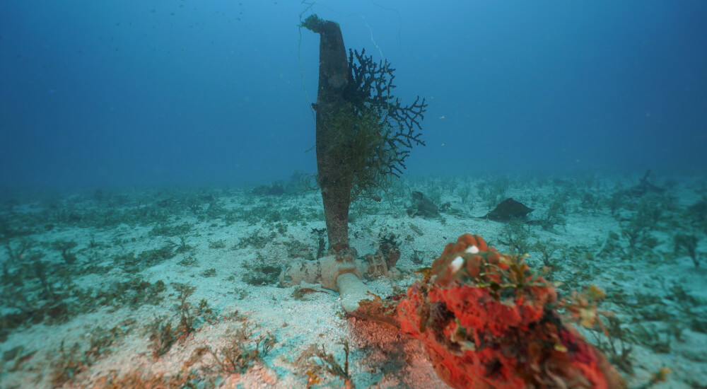 propeller of a U.S. SBD-5 Dauntless dive bomber