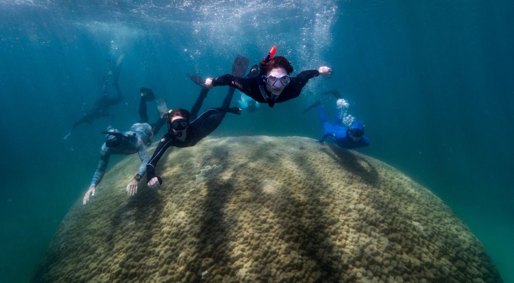 muga dhambi great barrier reef